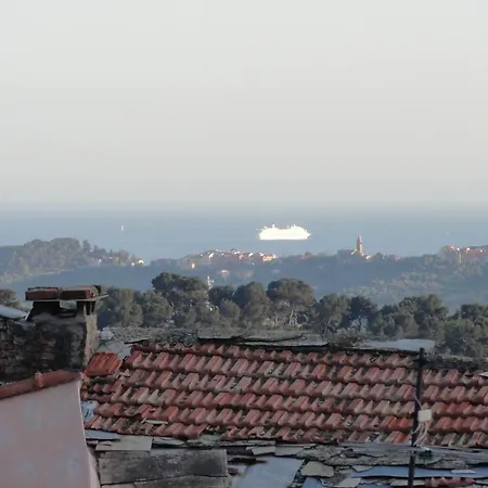 Il Merlo Della Rocca *